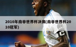 2010年南非世界杯决赛(南非世界杯2010冠军)