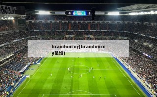 brandonroy(brandonroy是谁)