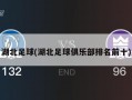 湖北足球(湖北足球俱乐部排名前十)