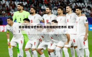 南非橄榄球世界杯(南非橄榄树世界杯 冠军)