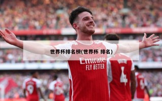 世界杯排名榜(世界杯 排名)
