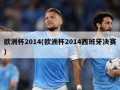 欧洲杯2014(欧洲杯2014西班牙决赛)
