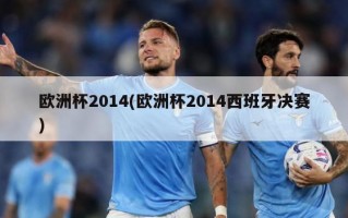 欧洲杯2014(欧洲杯2014西班牙决赛)