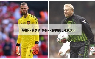 赫根vs索尔纳(赫根vs索尔纳比分多少)