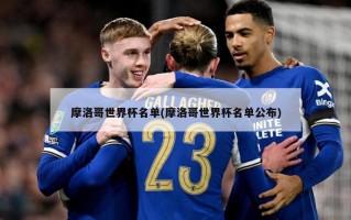 摩洛哥世界杯名单(摩洛哥世界杯名单公布)