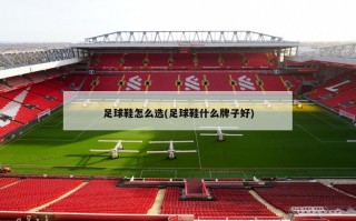 足球鞋怎么选(足球鞋什么牌子好)