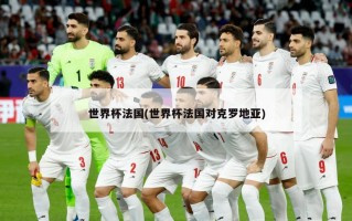 世界杯法国(世界杯法国对克罗地亚)