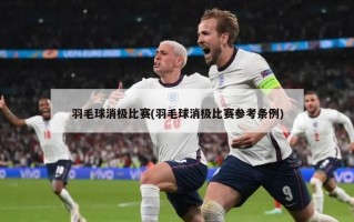 羽毛球消极比赛(羽毛球消极比赛参考条例)