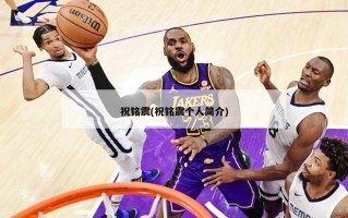 祝铭震(祝铭震个人简介)