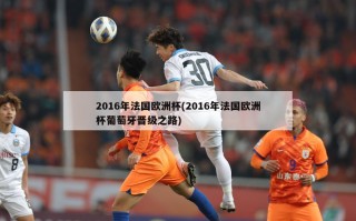 2016年法国欧洲杯(2016年法国欧洲杯葡萄牙晋级之路)