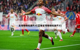 足球场地标准尺寸(正规足球场地标准尺寸)