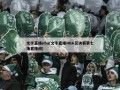 文字直播nba(文字直播NBA总决赛第七场直播间)