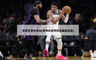 世界杯意甲转会(世界杯意甲转会最新消息)