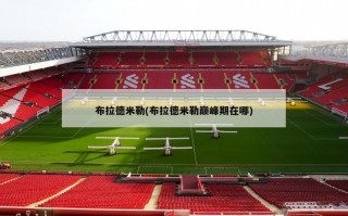 布拉德米勒(布拉德米勒巅峰期在哪)