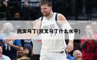 凯文马丁(凯文马丁什么水平)
