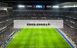 诺维斯基(诺维斯基选秀)