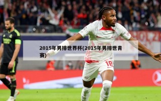 2015年男排世界杯(2015年男排世青赛)