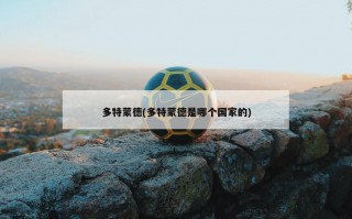 多特蒙德(多特蒙德是哪个国家的)