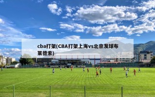 cba打架(CBA打架上海vs北京发球布莱德索)
