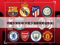 中国沙滩排球(中国沙滩排球男运动员)