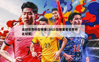 足球世界杯在哪看(2021在哪里看世界杯足球赛)