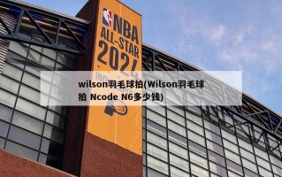 wilson羽毛球拍(Wilson羽毛球拍 Ncode N6多少钱)