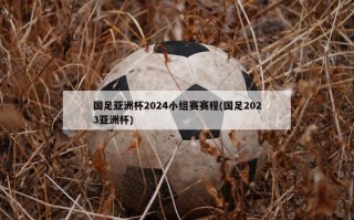 国足亚洲杯2024小组赛赛程(国足2023亚洲杯)