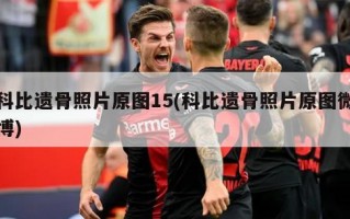 科比遗骨照片原图15(科比遗骨照片原图微博)