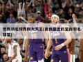 世界羽毛球界四大天王(离我最近的室内羽毛球馆)