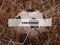 世预赛(世预赛规则)