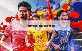 TIM爸爸(TIM爸爸是谁)