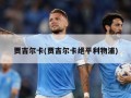 贾吉尔卡(贾吉尔卡绝平利物浦)