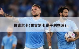 贾吉尔卡(贾吉尔卡绝平利物浦)
