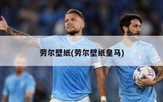 劳尔壁纸(劳尔壁纸皇马)