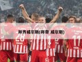 邦齐威尔斯(邦奇 威尔斯)