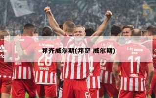 邦齐威尔斯(邦奇 威尔斯)