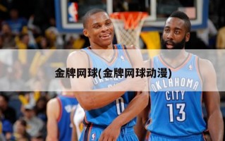 金牌网球(金牌网球动漫)