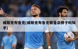 威斯克布鲁克(威斯克布鲁克斯是杂牌子吗知乎)