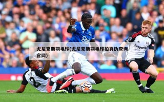 尤尼克斯羽毛球(尤尼克斯羽毛球拍真伪查询官网)