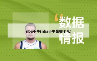 nba小牛(nba小牛是哪个队)