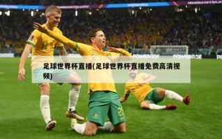 足球世界杯直播(足球世界杯直播免费高清视频)
