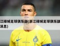 浙江绿城足球俱乐部(浙江绿城足球俱乐部最新消息)