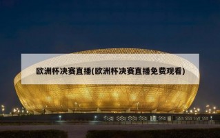 ***决赛直播(***决赛直播免费观看)