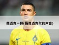 像迈克一样(最像迈克尔的声音)
