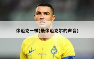 像迈克一样(最像迈克尔的声音)