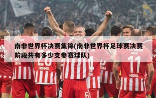 南非世界杯决赛集锦(南非世界杯足球赛决赛阶段共有多少支参赛球队)