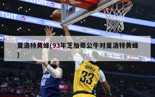 夏洛特黄蜂(93年芝加哥公牛对夏洛特黄蜂)