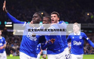 凯文加内特(凯文加内特身高)