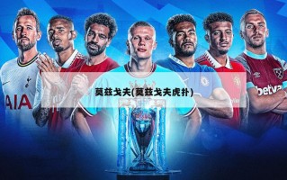 莫兹戈夫(莫兹戈夫虎扑)