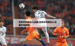世界杯阿根廷vs法国(世界杯阿根廷vs法国开场视频)